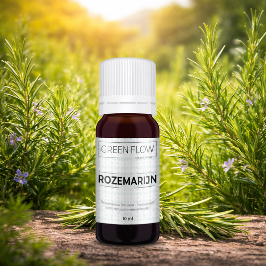Rozemarijn - 10 Ml - 100% Natuurzuivere Etherische Olie